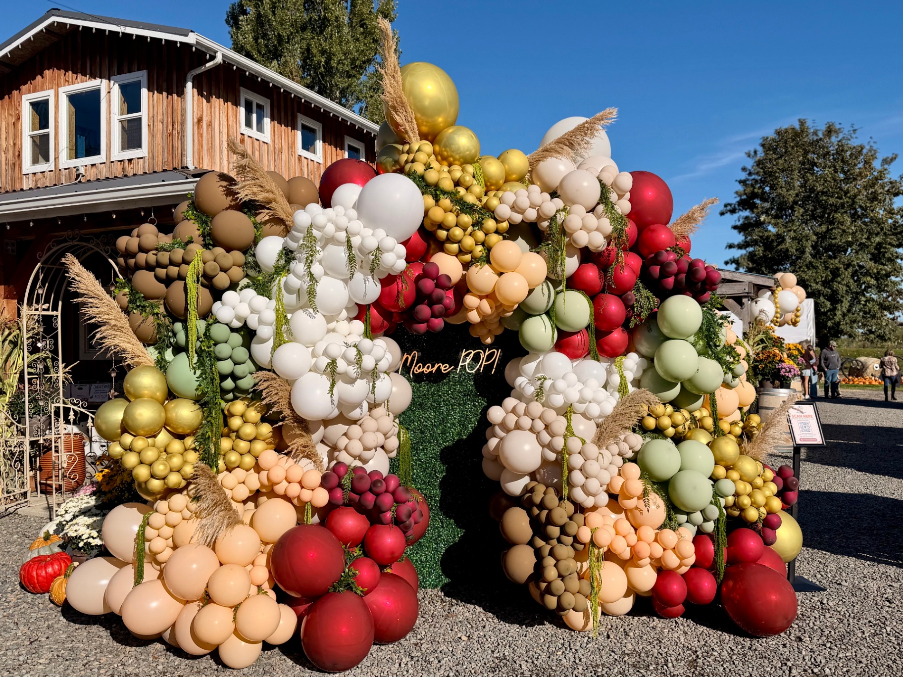 Autumn harvest balloon wall in burgundy, gold, cream, sage and rust with pampas grass over a greenery wall backdrop